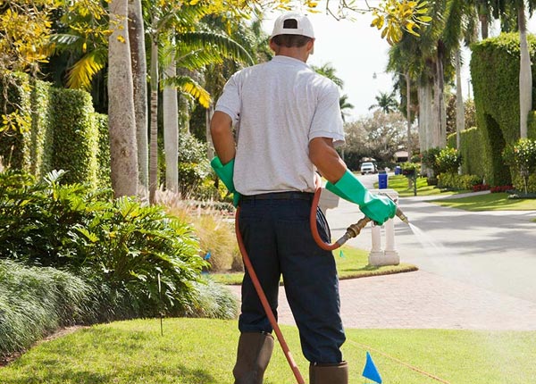 About Portland AR Pest Control Pros